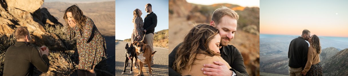 San Diego Surprise Proposal Photographer_Banner