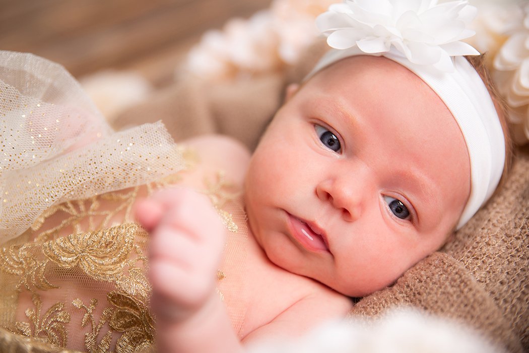 Baby_Kids Photos_Professional Photograher_Chelsea V Photography_Studio-3891